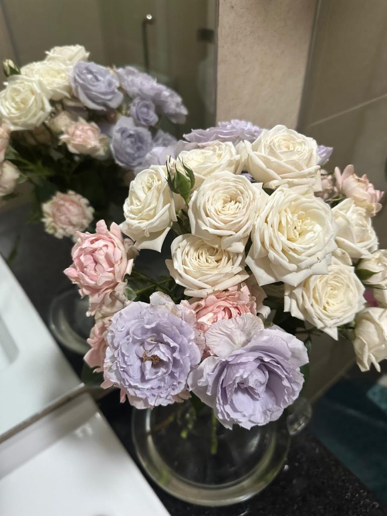 whatsapp image 2025 10 15 at 16.01.29